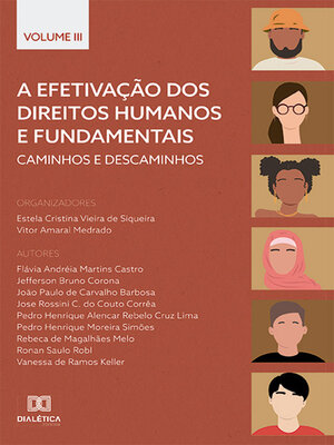 cover image of A efetivação dos Direitos Humanos e Fundamentais, Volume 3